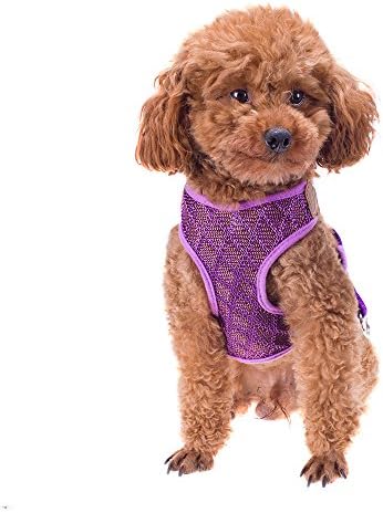 Petperi No-Pull Mesh Dog Harness and Leash Set,Summer Cool Dog Clothes,Adjustable and Breathable Dog Training Walking Harness Leash Collar for Large/Medium/Small Dog (XL(12-20 lb), Purple)