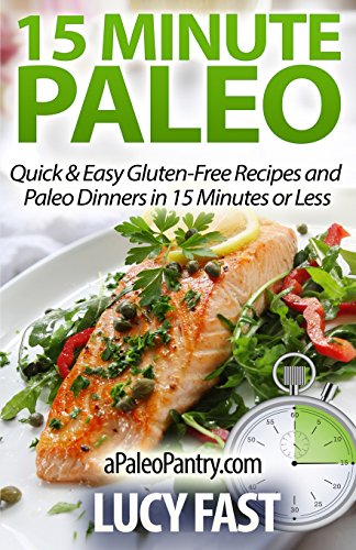 15 minute paleo quick  easy gluten free recipes and paleo dinners in 15 minutes or less paleo diet solution