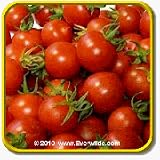 51DjH%2BvBJvL. SL160  Open Pollinated Tomato Seeds   Tiny Tim Vegetable Seed Packet