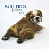 Bulldog Puppies 2008 Mini Wall
