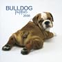 Bulldog Puppies 2008 Mini Wall Calendar (German, French, Spanish and English Edition)