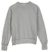 Champion Ladies' Double Dry Classic Fleece Crew Sweatshirt. 5898