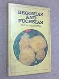 Begonias and fuchsias