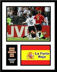 Fernando Torres Spain National Team Framed 8x10 Photograph 2008 Euro Champs Game Winning Goal Milest