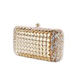 Vetro Swarovski Crystal Clutch Bag