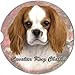 E&S Pets Cavalier Coaster, 3