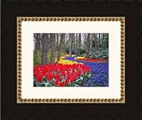 Picture Frame Mahogany Slope w/ Gold Diamond Lip .. 4'' wide