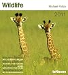 Wildlife 2011: Wochenkalender (Boxed Cal)