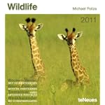 2011 Wildlife Weekly Postcard Calendar (Boxed Cal)