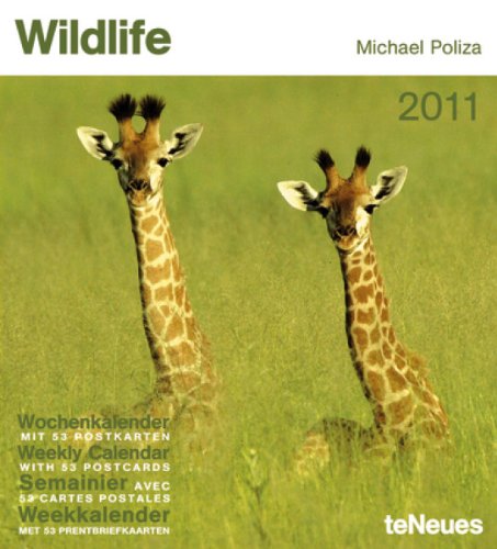 2011 Wildlife Weekly Postcard Calendar (Boxed Cal)