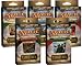 Magic The Gathering - Conflux Intro Pack Theme Decks (Set Of 5)