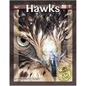 Hawks (Predators in the Wild) (Illustrated) (Reinforced Hardcover)
