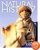 This item last updated: Nov 08, 2010