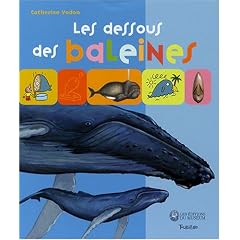Les dessous des baleines (1CD audio)