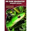 Art f�r Art Nattern 19. Die Raue Grasnatter: Opheodrys aestivus