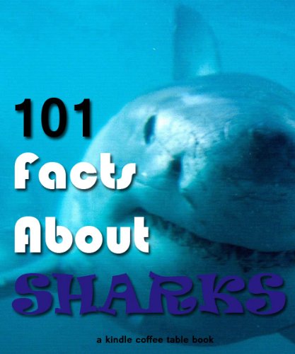 101 Facts About Sharks