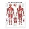 The Top 25 Bestselling Physiotherapy Books