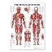 The Top 25 Bestselling Physiotherapy Books