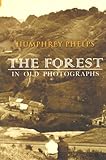 The Forest in old photographs
