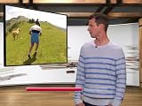 Tosh.0 420