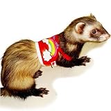 Ferret RainbowタンクトップSレッド
