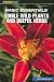 Edible Wild Plants and Useful Herbs (Basic Essentials (Globe Pequot))