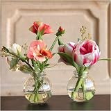 Review FIORI BELLI  / Mini Tulips and Pansies