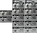 12 Energizer 392/384 Silver Oxide 0% Mercury Batteries