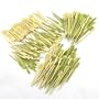 400 Piece Bamboo Skewer Assortment, Paddle Picks and Mini Forks