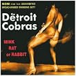Mink Rat Or Rabbit