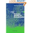 Molecular Genetics of Recombination (Topics in Current Genetics) by Andrés Aguilera and Rodney Rothstein