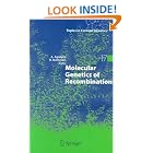 Molecular Genetics of Recombination (Topics in Current Genetics) by  Andr�s Aguilera and Rodney Rothstein