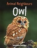 Owl (British Animals)