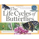 The Life Cycles of Butterflies: From Egg to Maturity, a Visual Guide to 23 Common Garden Butterflies
