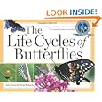 The Life Cycles of Butterflies