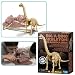 Dig-A-Dino Skeleton Brachiosaurus