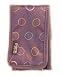 Jansport Trans Digital IPOD Music Case Purple