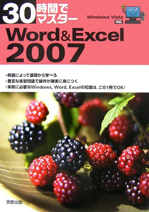 30時間でマスターWord & Excel 2007