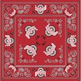 NCAA Ohio State Buckeyes Team Color Bandana