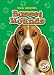 Basset Hounds (Blastoff! Readers: Dog Breeds) Basset Hounds (Blastoff! Readers: Dog Breeds)