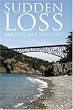 Sudden Loss: Earthquake Realities