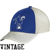 NFL Men's Indianapolis Colts Classics Structured Flex Hat - Tw92Z (Putty, Large/X-Large)