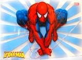 Spider-man Table Place Mat