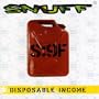 Disposable Income