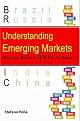 Understanding Emerging Markets: Building Business Bric by Brick (Response Books) (Response Books)