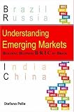 Understanding Emerging Markets: Building Business Bric by Brick (Response Books) (Response Books)