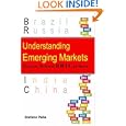 Understanding Emerging Markets: Building Business Bric by Brick (Response Books)