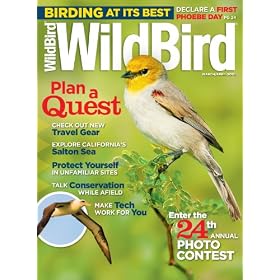 WildBird (1-year)
