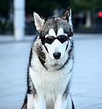 Pet Leso&reg; Large Dog Goggles Pet V-type UV Glasses Protection Fashion Eyewear - Black