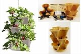 Complete Strawberry Growing Kit: Garden Stacker Planter + Indoor Strawberry Garden Starter Kit - Makes a Great Gift Idea